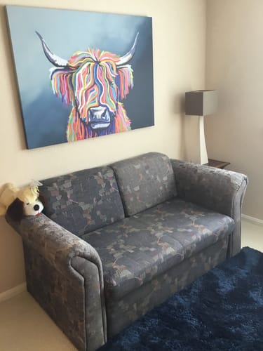 Customer photo review of Highland Cow Canvas Print
