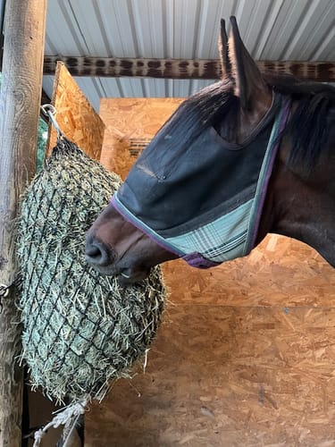 Customer photo review of Route Package Protection