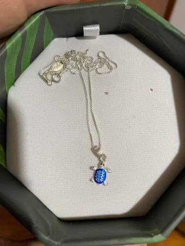 Customer photo review of Collar Tortuga Azul