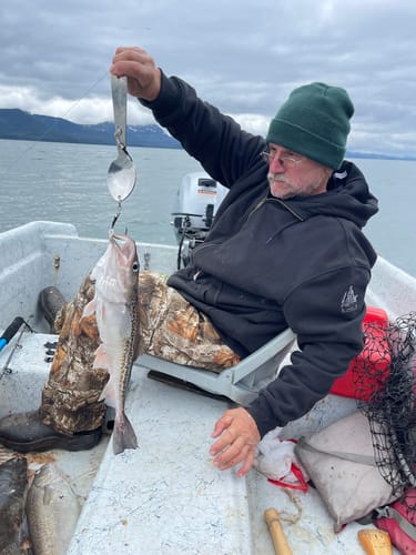 Customer photo review of The Catch 'n Cook: 304 Stainless Steel Spoon Jig (Fish and Eat with It)