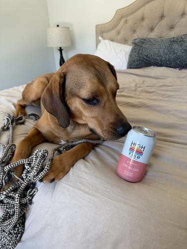 Customer photo review of Grapefruit CBD