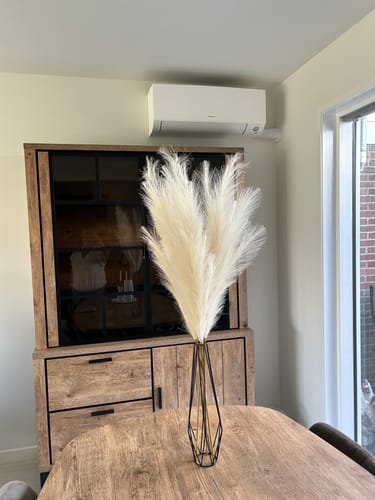 Fotorecensie van een klant over Pampas 110cm (3 stengels)- Beige