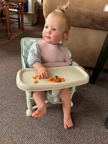 Customer photo review of Parker portable booster chair V2