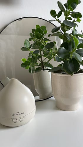 Customer photo review of Unity 2.0 Smellacloud® Diffuser - edles grau (400ml)
