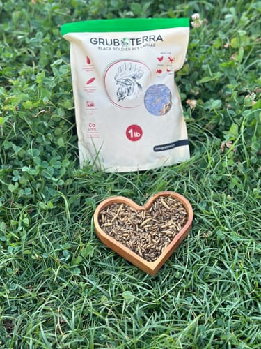 Customer photo review of GrubTerra Dried Larvae Sample