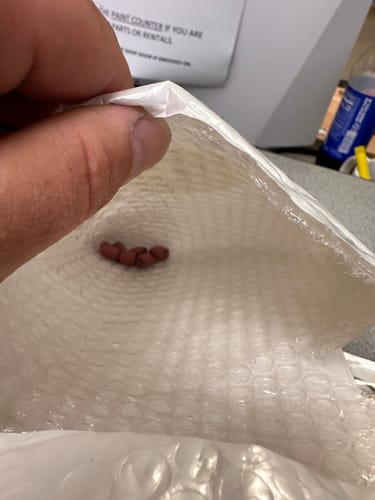 Customer photo review of 200% Sensitive Tungsten Flipping Weights | 4 Colors 10 Piece Bulk Pack