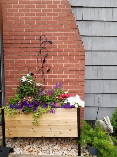 Customer photo review of 18" x 48" Raised Garden Bed