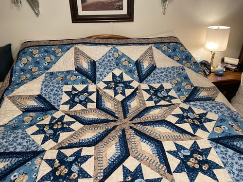 Customer photo review of Ferris Wheel - Quilt Kit - Bellflower (94" x 94")