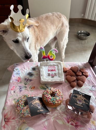 Customer photo review of Torta Per Cani Personalizzabile. Tanti Auguri