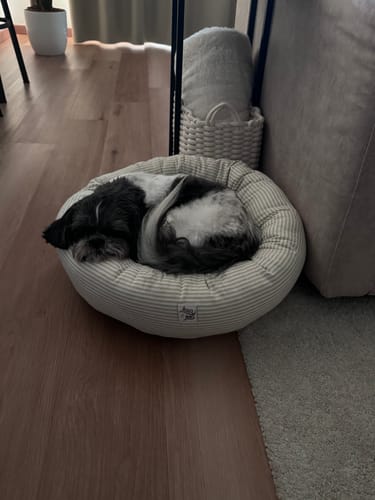 Customer photo review of Cuccia Tonda Cotone Righe Beige