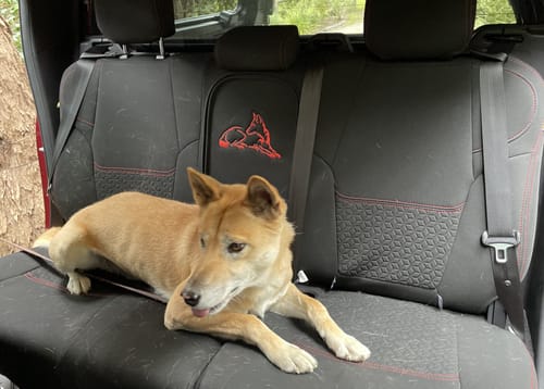 Customer photo review of Mazda BT-50 TF Premium Neoprene Rear Row Seat Covers (Available)