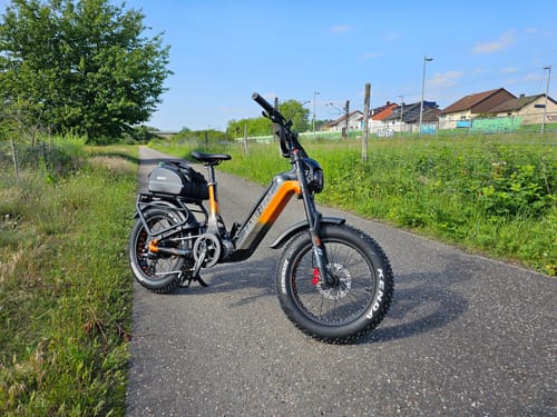 Customer photo review of Lankeleisi RX800 Plus 1000W 20" Fat Bike Full Suspension Electric Bike 48V 20Ah Samsung Battery SUV E-Bike