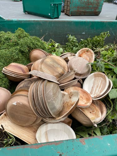 Customer photo review of 10" (25cm) Round Disposable Plates Palm Leaf Bamboo Plates