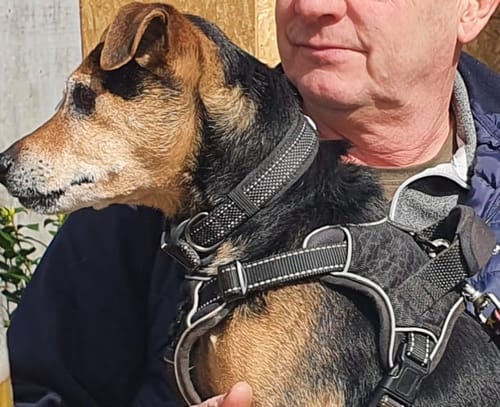 Customer photo review of FIDA Heavy Duty Dog Collar