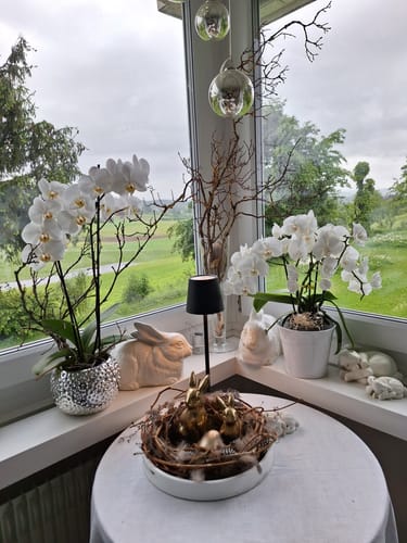 Customer photo review of BeamBliss™ | Wiederaufladbare kabellose Tischlampe
