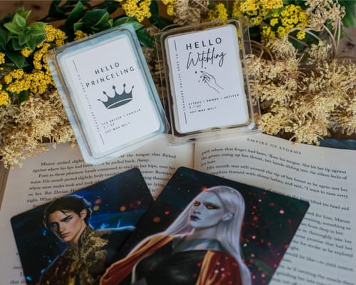 Customer photo review of Bookish Wax Melts