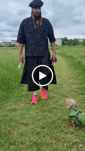 Customer video review of Jacquard Crew Neck Casual T-shirt