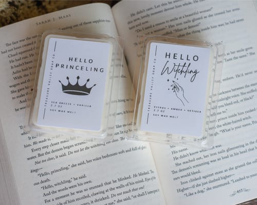 Customer photo review of Bookish Wax Melts