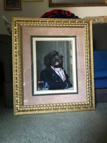 Customer photo review of The Victorian Explorer - Custom Vintage Pet Portrait