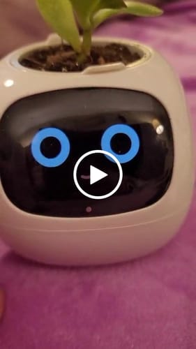 Customer video review of SmartPot Ivy