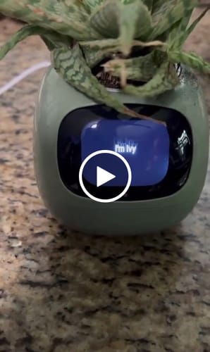 Customer video review of SmartPot Ivy