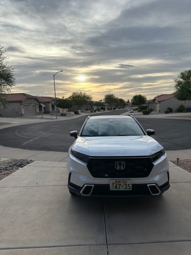 Customer photo review of 愛媛 Ehime Japanese License Plate