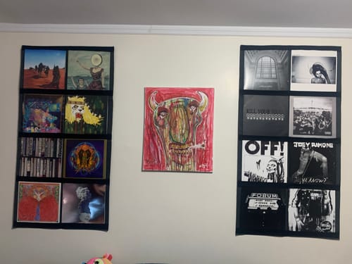 Customer photo review of 12" Vinyl Record Display Frame - LP Wall Storage