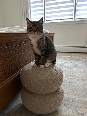 Customer photo review of Khaki Pebble Round Ottoman #100047