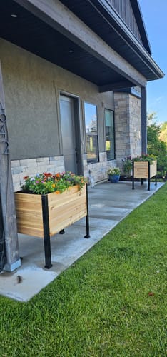 Customer photo review of 18" x 36" Raised Garden Bed