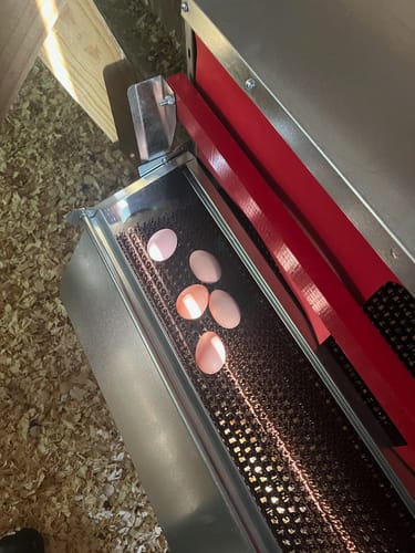 Customer photo review of Large (54") - Reversible Rollout Nest Box (Up to 52 Hens) - Backordered (Expected to ship July - 10th)