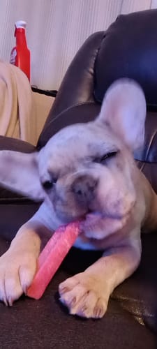 Customer photo review of STRAWBERRY YAK CHEWS