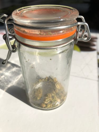 Customer photo review of Cali Moon Haze - Premium <15%CBD