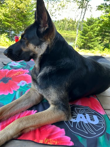 Customer photo review of Serviette de plage en microfibre suède Tropical