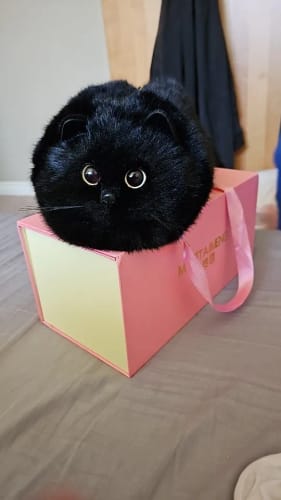 Customer photo review of Handmade Cat Plush Handbag