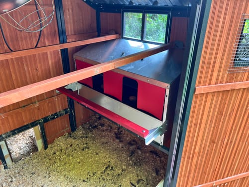 Customer photo review of Medium (34") Reversible Rollout Nest Box (Up to 32 Hens) - Backordered (Expected to ship July 30th)