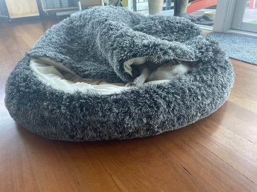 Customer photo review of PaWz Removable Cover Pet Calming Bed