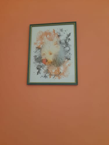 undefined review of Your Dog as Watercolor Portrait image 1 out of 1