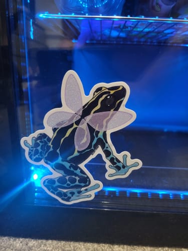 Customer photo review of Limited Edition “Poison Dart Fairy” Holographic Sticker