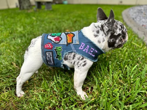 Customer photo review of Rocker Harness 2.0