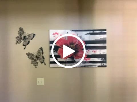 Customer video review of Bloom of Contrasts