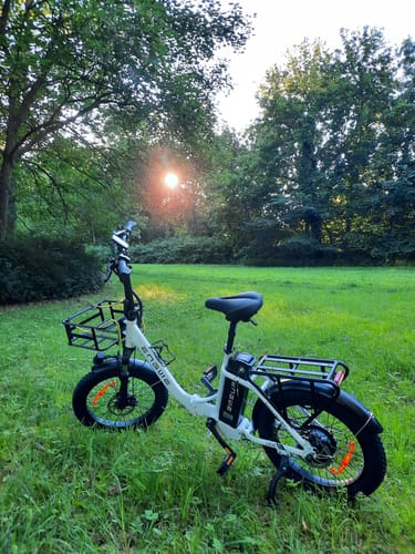 Customer photo review of Engwe L20 SE 250W 20" Foldable Electric Trekking Bike 15.6Ah Step-through E-bike