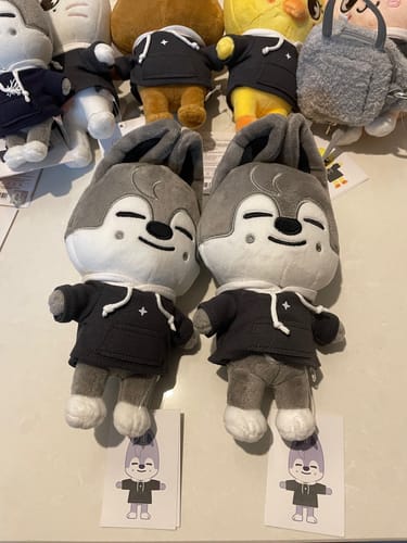 Customer photo review of STRAY KIDS - SKZ'S MAGIC SCHOOL OFFICIAL MD SKZOO PLUSH ORIGINAL VER.