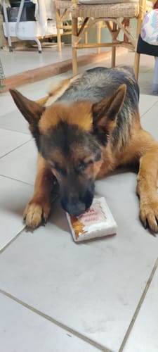 Customer photo review of Torta Per Cani Happy Birthday Personalizzabile Lusso