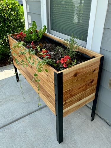 Customer photo review of 18" x 48" Raised Garden Bed