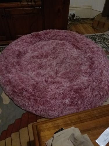 Customer photo review of PaWz Removable Cover Calming Pet Bed
