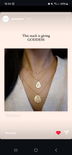 Customer photo review of Goddess Lakshmi Necklace