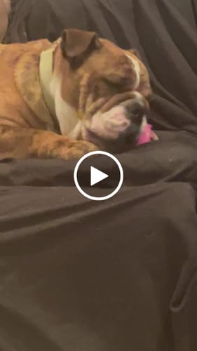 Customer video review of MIX FLAVORED CHEWS ( A PACK OF 4 STICKS )
