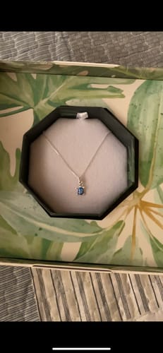 Customer photo review of Collar Tortuga Azul