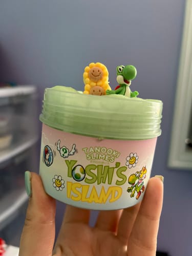 Customer photo review of Yoshi's Island