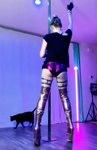 undefined review of Metallic Pin-up High Waisted Hot Pants image 1 out of 1